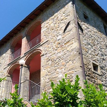 Bed and Breakfast La Collina Dei Franchi Camporgiano Экстерьер фото